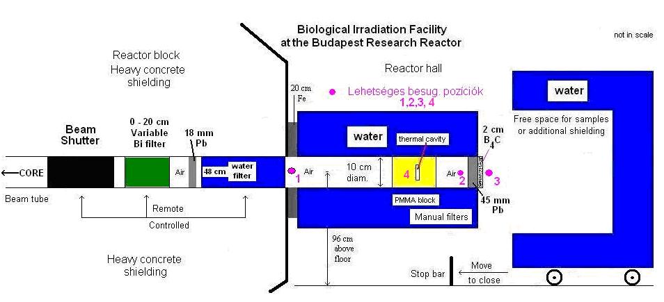 BIO