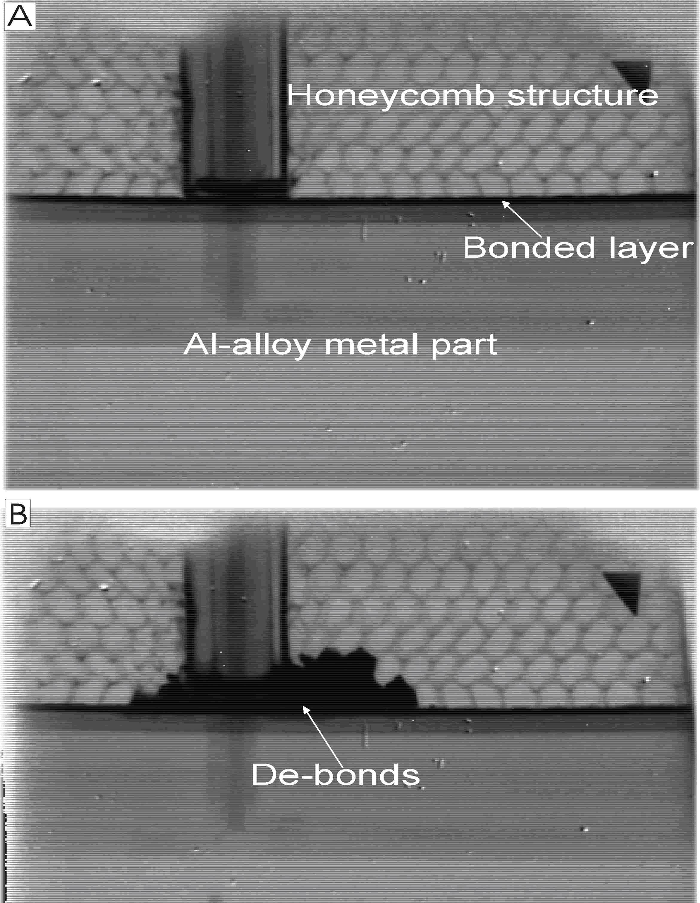 Figure 3b